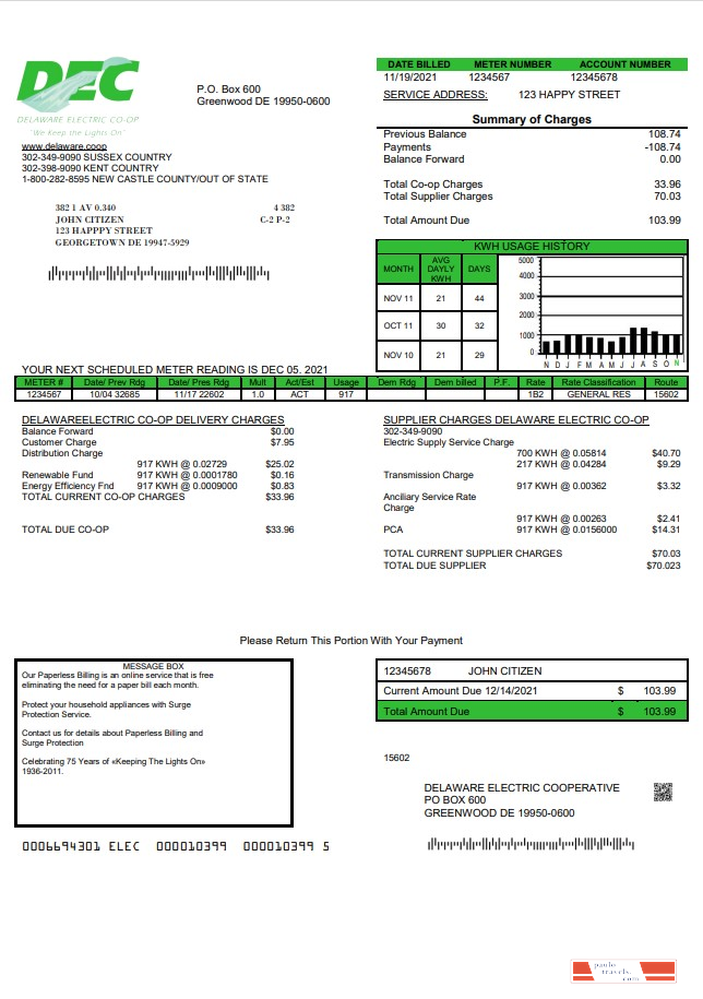 USA Delaware Electric Co op utility bill template in Word and PDF format
